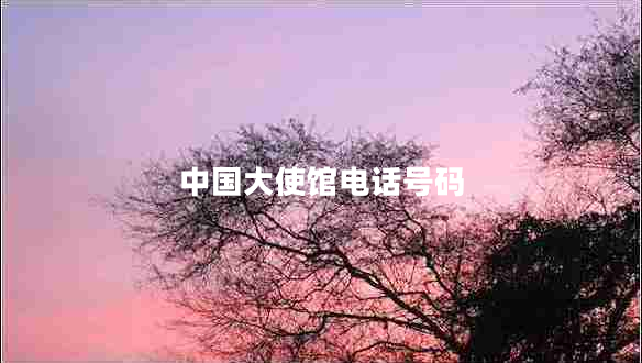 中國(guó)大使館電話號(hào)碼
