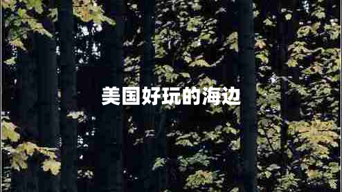 美國(guó)好玩的海邊