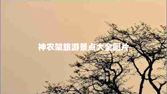 神農(nóng)架旅游景點大全圖片