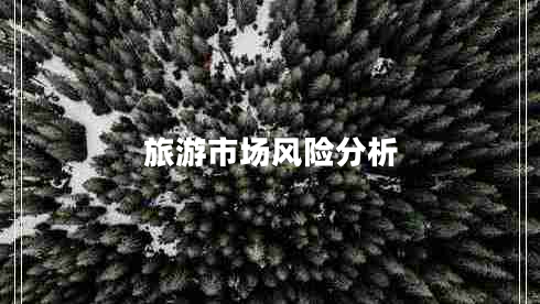 旅游市場(chǎng)風(fēng)險(xiǎn)分析