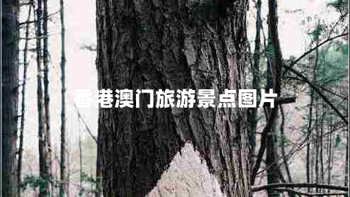 香港澳門旅游景點圖片