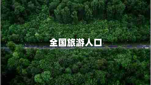 全國(guó)旅游人口