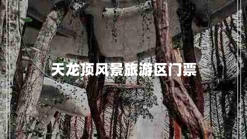 天龍頂風景旅游區(qū)門票