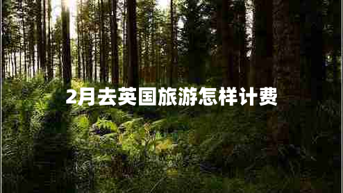 2月去英國旅游怎樣計(jì)費(fèi)