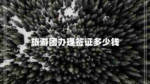 旅游團辦理簽證多少錢