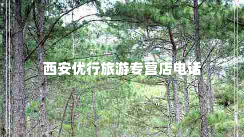 西安優(yōu)行旅游專營店電話