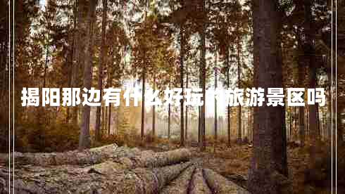 揭陽(yáng)那邊有什么好玩的旅游景區(qū)嗎