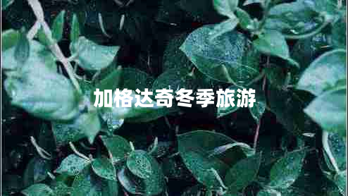 加格達(dá)奇冬季旅游
