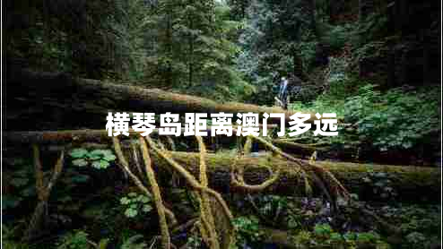 橫琴島距離澳門多遠(yuǎn)