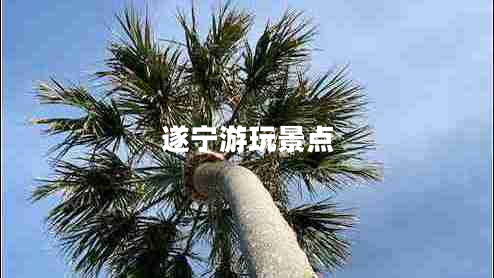 遂寧游玩景點(diǎn)