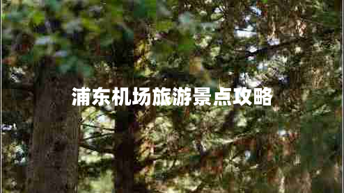 浦東機場旅游景點攻略