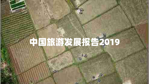 中國旅游發(fā)展報(bào)告2019