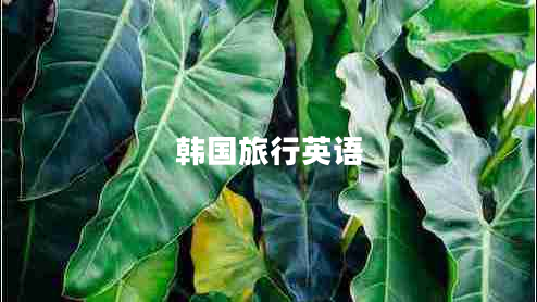 韓國(guó)旅行英語(yǔ)