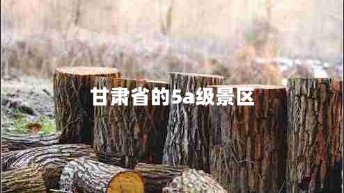 甘肅省的5a級景區(qū)