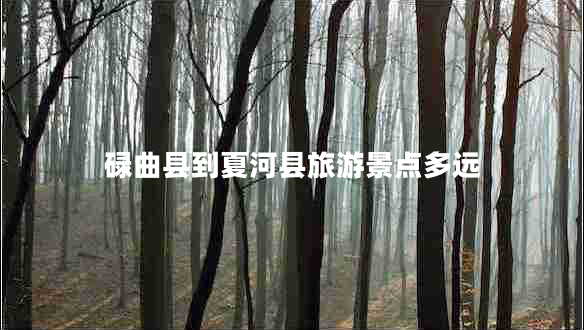 碌曲縣到夏河縣旅游景點多遠