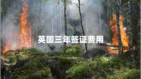 英國三年簽證費(fèi)用