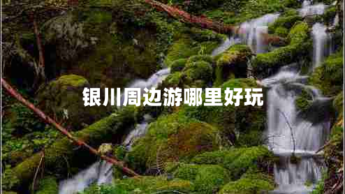 銀川周邊游哪里好玩 銀川周邊游哪里好玩