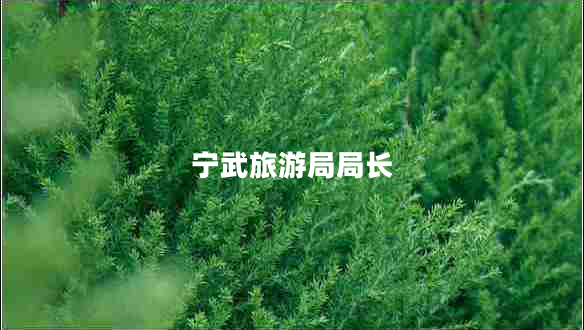 寧武旅游局局長(zhǎng)