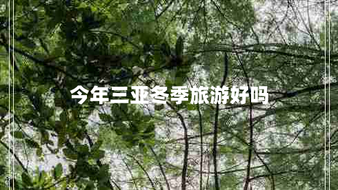 今年三亞冬季旅游好嗎 今年三亞冬季旅游好嗎