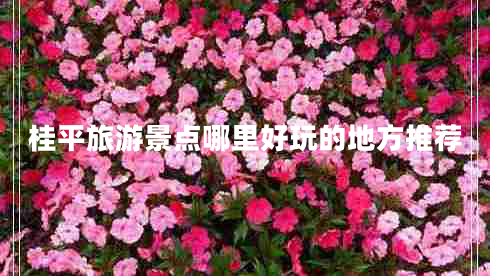 桂平旅游景點哪里好玩的地方推薦