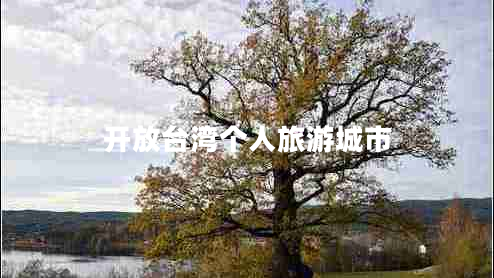 開放臺灣個人旅游城市