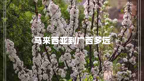 馬來西亞到廣西多遠
