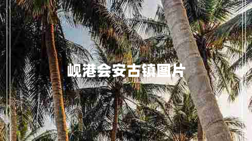 峴港會(huì)安古鎮(zhèn)圖片