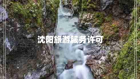沈陽旅游服務(wù)許可