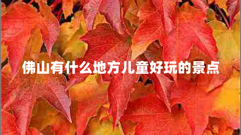 佛山有什么地方兒童好玩的景點