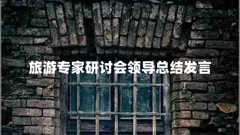 旅游專家研討會領導總結發(fā)言