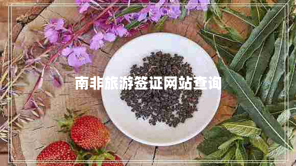 南非旅游簽證網站查詢