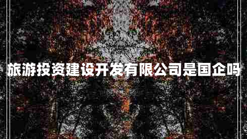 旅游投資建設(shè)開發(fā)有限公司是國(guó)企嗎