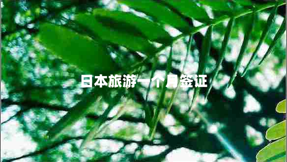 日本旅游一個(gè)月簽證 日本旅游一個(gè)月簽證