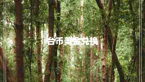 臺(tái)幣美金兌換