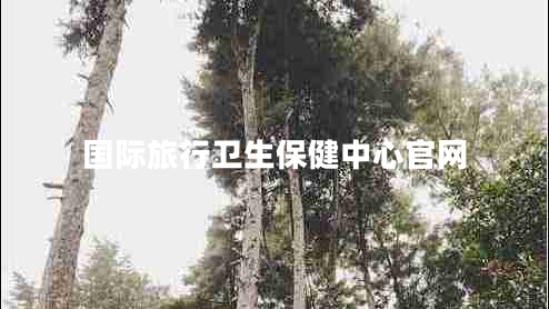 國(guó)際旅行衛(wèi)生保健中心官網(wǎng)