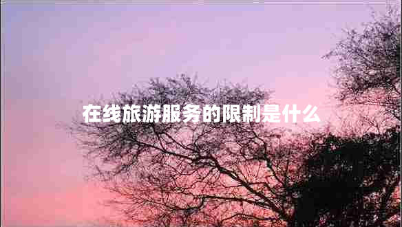 在線旅游服務(wù)的限制是什么
