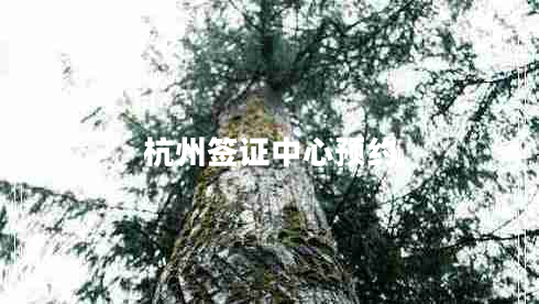 杭州簽證中心預(yù)約
