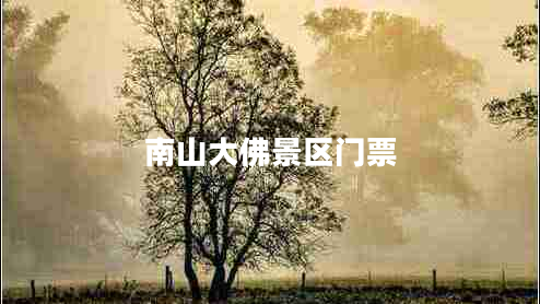 南山大佛景區(qū)門票