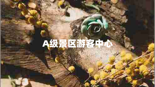 A級(jí)景區(qū)游客中心
