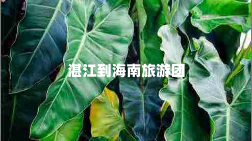 湛江到海南旅游團(tuán)