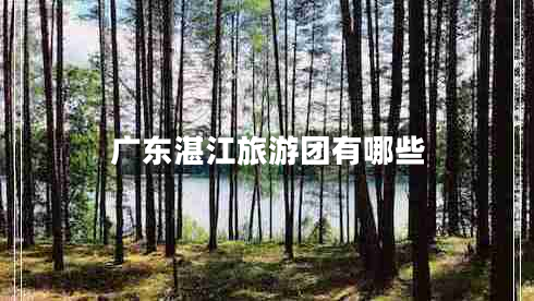 廣東湛江旅游團(tuán)有哪些