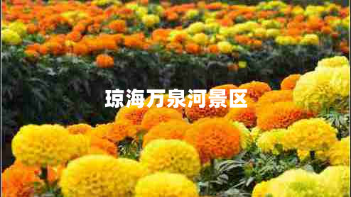 瓊海萬泉河景區(qū)