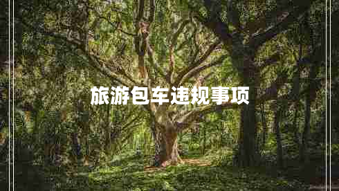 旅游包車違規(guī)事項(xiàng)