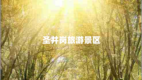 圣井崗旅游景區(qū) 圣井崗旅游景區(qū)