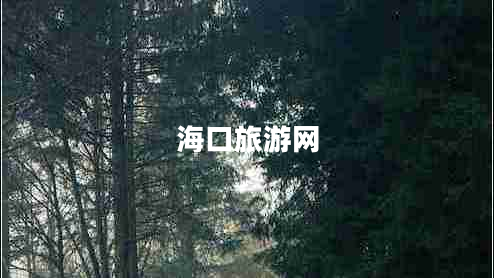 ?？诼糜尉W(wǎng)
