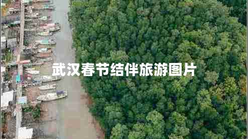 武漢春節(jié)結伴旅游圖片