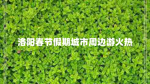 洛陽(yáng)春節(jié)假期城市周邊游火熱