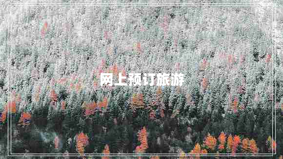 網(wǎng)上預(yù)訂旅游