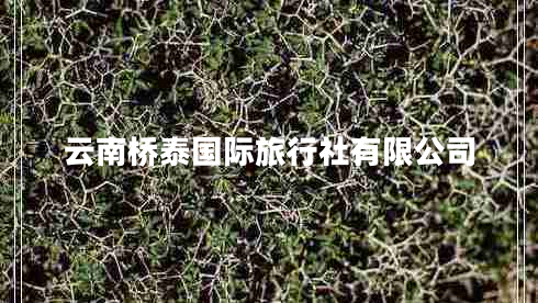 云南橋泰國(guó)際旅行社有限公司