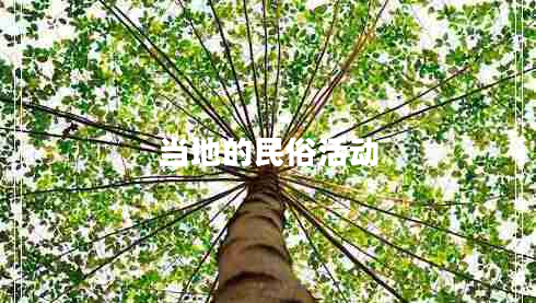 當地的民俗活動